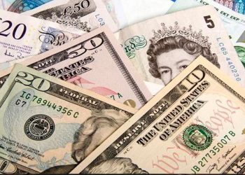 أسباب عجز النقد الأجنبي بالبنوك الحكومية في تركيا