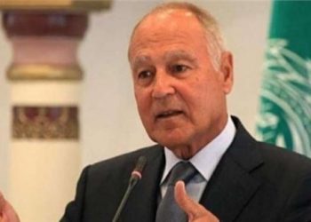 أبو الغيط يرحب بتفعيل اتفاق الرياض لمعالجة الأزمة في اليمن