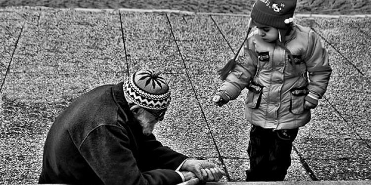  شيئًا أحببته.. بائع الجنة!