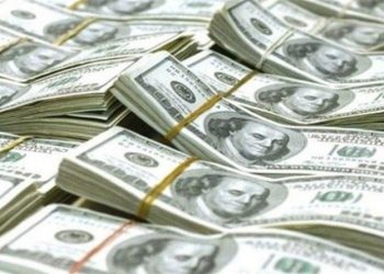 المركزي التركي يضخ 2 مليار دولار خلال يومين لوقف نزيف الليرة