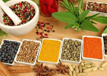 أعشاب لتنظيف الكلى من السموم