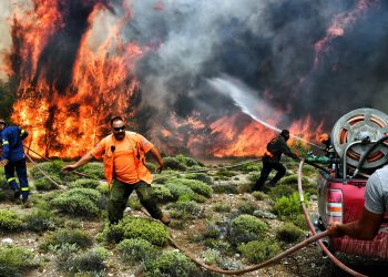 تركيا.. مسئول: 90% من حرائق الغابات في تركيا يتحملها المواطنون