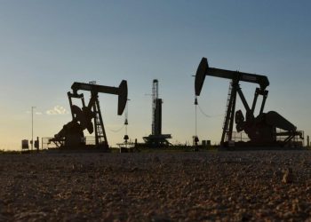 رغم رغبة أردوغان في ذلك.. تركيا تعترض على بيع الأكراد للبترول