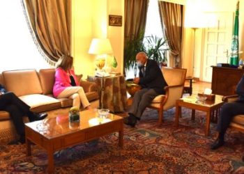 أبو الغيط يبحث مع ستيفاني وليامز تسوية الأزمة الليبية برعاية أممية