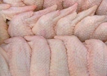 آثار فيروس كورونا تظهر على جناح دجاجة مجمدة مستوردة!