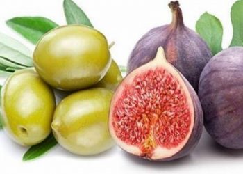 تعرف على فوائد التين والزيتون للصحة