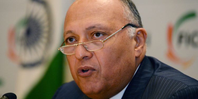 وزير الخارجية المصري: يجب وقف التدخلات المزعزعة للاستقرار في ليبيا