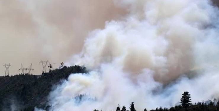 تركيا.. اندلاع حرائق غابات في ثلاث ولايات كبرى