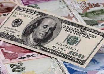 تركيا.. الدولار واليورو يسجلان ارتفاعًا قياسيًا أمام الليرة