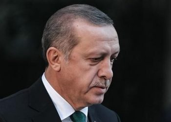 تغريدة أردوغان بالفرنسية تحرج برلمانيًا مؤيدًا لأردوغان