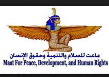 منظمة: على تركيا وقف استخدام المرتزقة لتحقيق أغراض سياسية