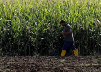 ‎تركيا.. الحكومة تدعم الواردات الزراعية أكثر من المزارعين!