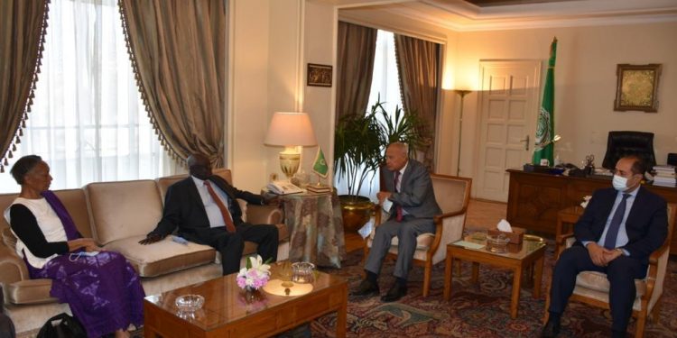 أبو الغيط يستقبل وزير التعليم العالي لجنوب السودان