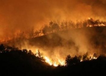 تركيا.. برلماني حرائق هطاي بمنطقة تخطط الحكومة لافتتاح مناجم فحم بها!