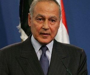 أبو الغيط: التجارب تثبت فشل محاولات الانقضاض على حقوق الفلسطينيين