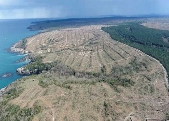 وزارة الطاقة تصدر تقريرًا لمشروع نووي توقف يسبب انسحاب اليابان منه!