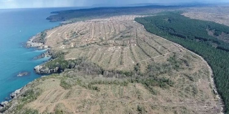 وزارة الطاقة تصدر تقريرًا لمشروع نووي توقف يسبب انسحاب اليابان منه!