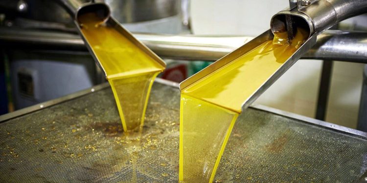 حتى الأشجار لم تسلم.. تركيا تستولي على زيت الزيتون السوري