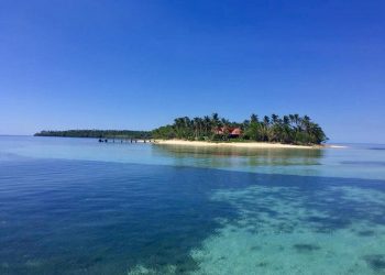 أول مدينة في العالم تدخل العام الجديد 2021