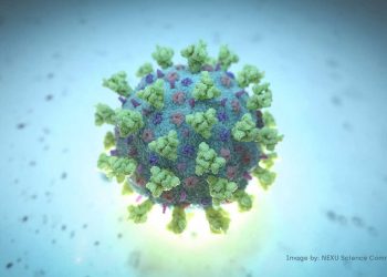 سلالة كورونا المتحورة تصلُ إلى الصين