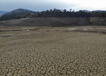 وزير الزراعة: 2020 قد تكون الأكثر جفافا في تركيا