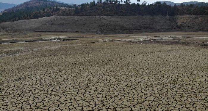 وزير الزراعة: 2020 قد تكون الأكثر جفافا في تركيا