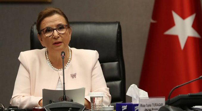 تركيا وبريطانيا تعلنان التوصل لاتفاقية تجارة حرة