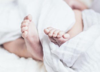 القبض على تشكيل عصابي يستقدم الحوامل من تركيا إلى أمريكا