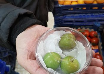 ثمن الكيلو 1000 ليرة.. البرقوق ينافس الذهب في تركيا