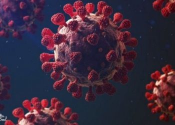 بريطانيا تكشف “أمرا خطيرا” عن سلالة كورونا الجديدة