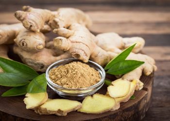 فوائد الزنجبيل الصحية