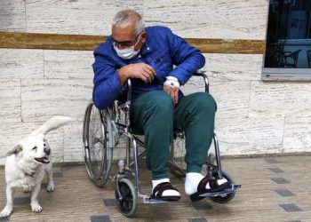 درس في الإخلاص من كلب في تركيا