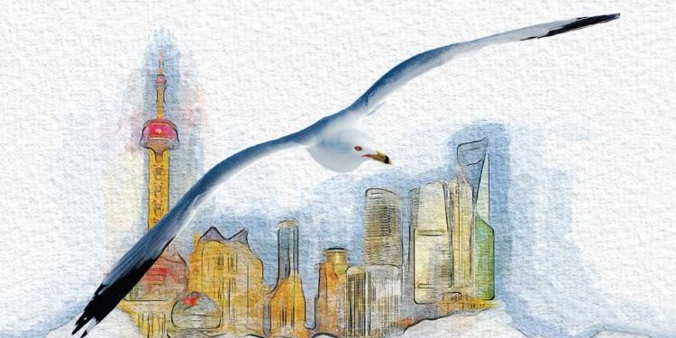 مفهوم الجمالية بين الفكر الإسلامي والفلسفة الغربية