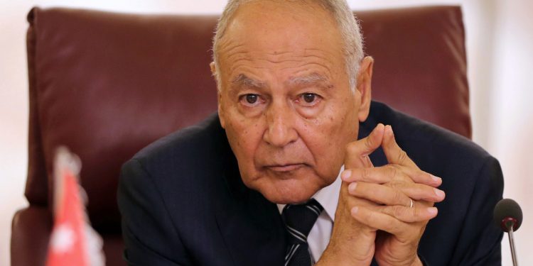 أبو الغيط يبحث مع وزير خارجية مصر تطوير الشراكة العربية الأفريقية