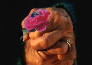 التسامح في الإسلام