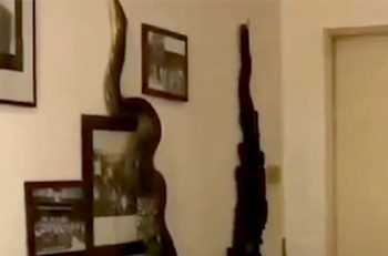 ثعبان ضخم يحتل منزل مواطن تايلاندي