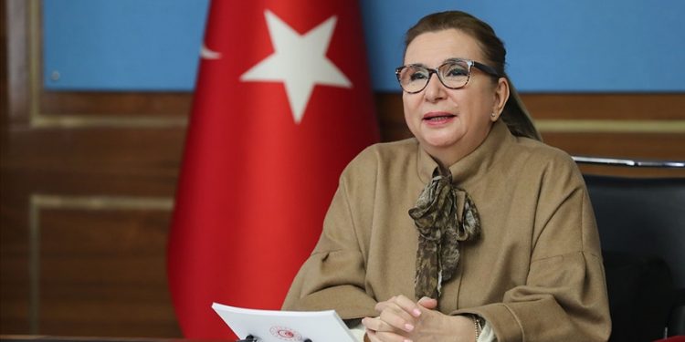 تركيا تعلن رفع حصة صادراتها من الطماطم إلى روسيا