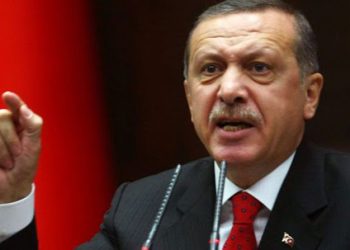 نائبة ألمانية: أردوغان يمثل تهديدًا خطيرًا على الاتحاد الأوروبي