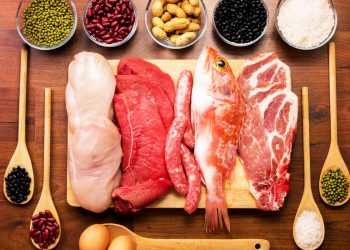 النظام الغذائي عالي البروتين لخسارة الوزن