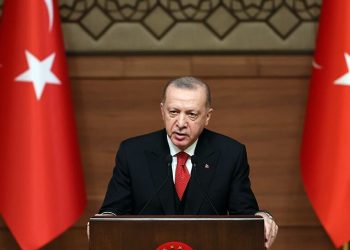 كاتب: أردوغان يريد دستورًا جديدًا للتخلص من “شوك” المعارضة