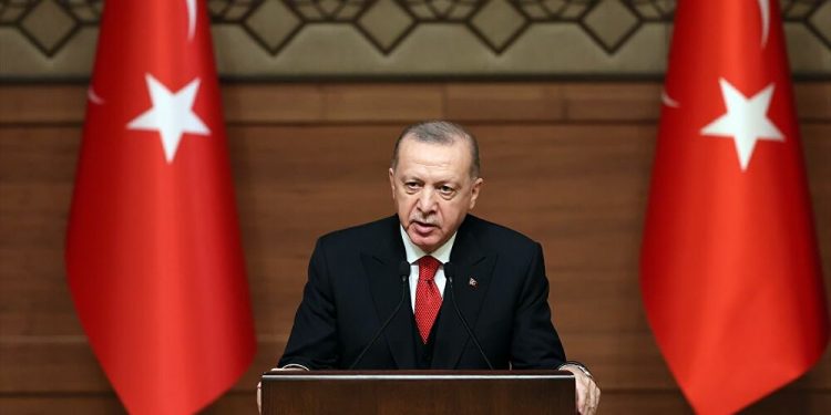 كاتب: أردوغان يريد دستورًا جديدًا للتخلص من “شوك” المعارضة