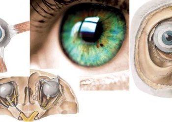 أنا عين عبد الله