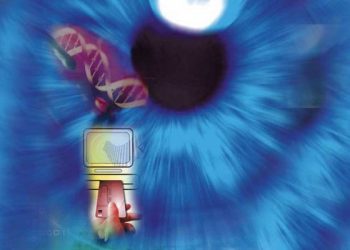 الإنسان محور التنمية في المنهج القرآني