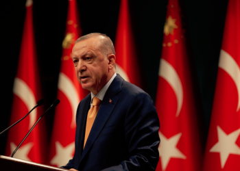 كاتب: أردوغان يريد دستورًا يعفيه من الالتزام بأي قرار قضائي أوروبي