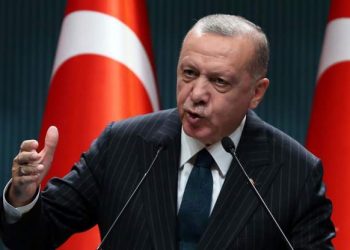 محلل سياسي: حكومة أردوغان تعتمد ديمقراطية مهيمنة للبقاء بالسلطة