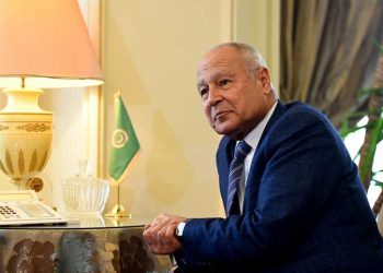 أبو الغيط وموسى فقي يبحثان تسوية الأزمات في ليبيا والسودان والصومال