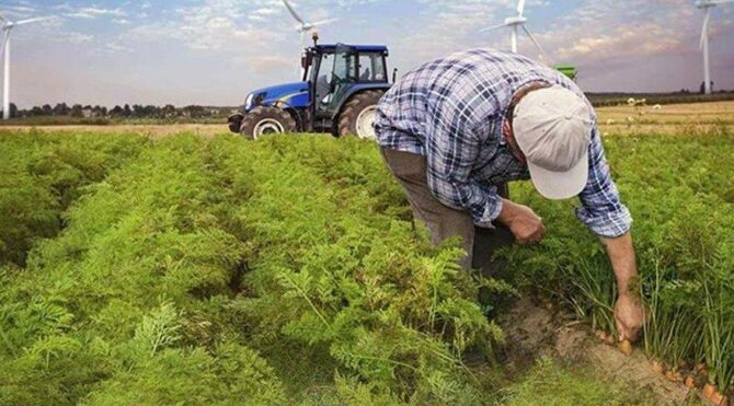 تركيا.. وفاة مزارع بأزمة قلبية بعد مصادرة جراره