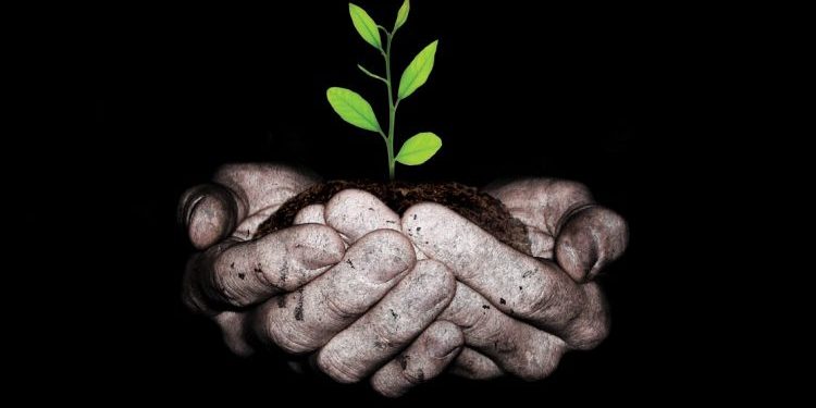 أبطال الحضارة