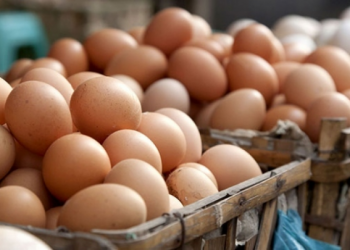 فرق هائل في سعر البيض بين المنتج ومحلات البقالة في تركيا!