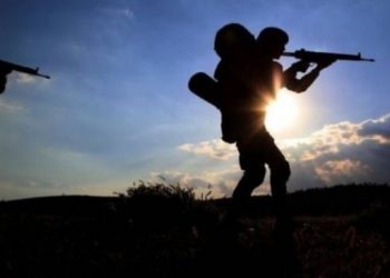 كاتب تركي: واشنطن تابعت العملية العسكرية شمال العراق على الهواء مباشرة